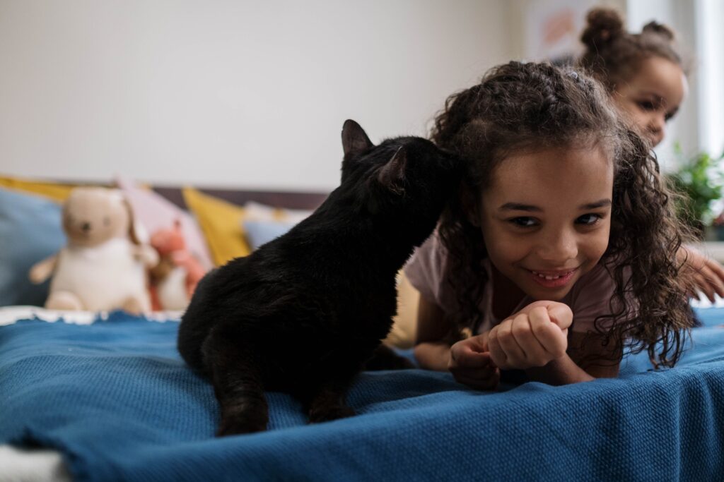 un chat raconte son histoire à un enfant et lui fais un bisou